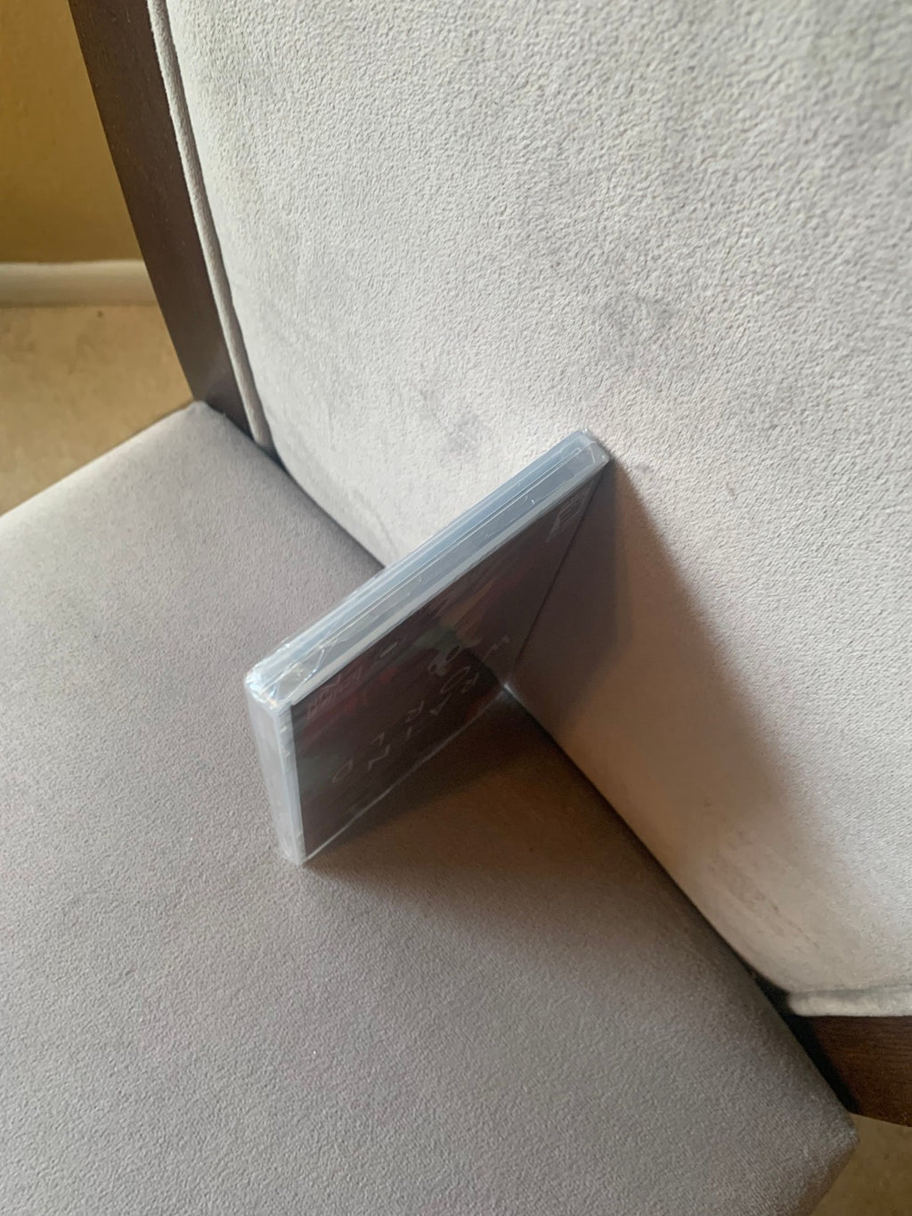 Limited Run #258: Rain World Standard Edition Nintendo Switch